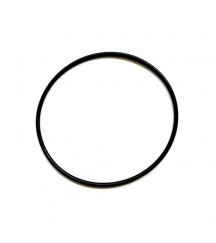 O-ring 20793394
